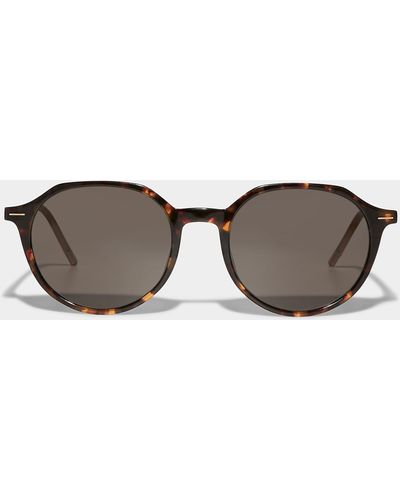 BOSS Flecked Round Sunglasses - Brown