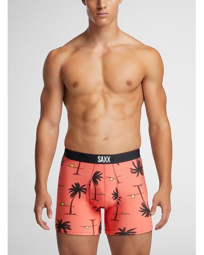 Saxx Underwear Co. Palm Tree And Solid Boxer Briefs Ultra - Red
