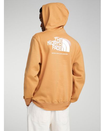 The North Face Box Nse Hoodie - Brown