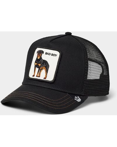 Goorin Bros Rottweiler Trucker Cap - Black