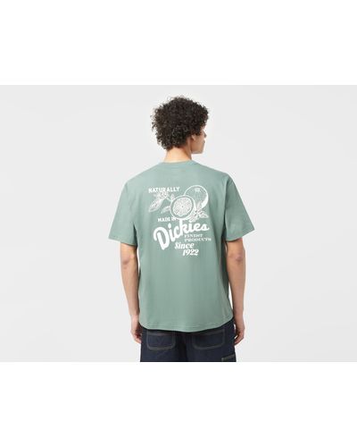 Dickies Raven T-Shirt - Grün
