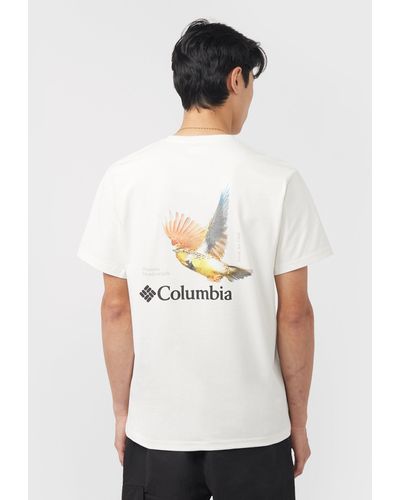 Columbia Hawks T-Shirt - ?exclusive - Schwarz