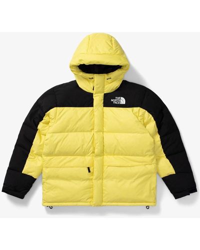 Sensación afijo Necesario The North Face Down and padded jackets for Men | Online Sale up to 60% off  | Lyst