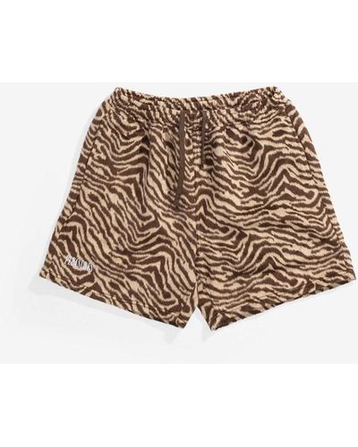 Pleasures Breaker Fuzzy Stripe Shorts - Brown