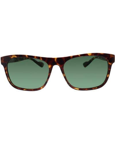 Ben Sherman Harry M03 Wayfarer Sustainable Polarized Sunglasses - Green