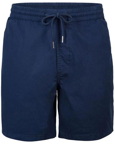 O'neill Sportswear Short 2700010-15011 - Bleu