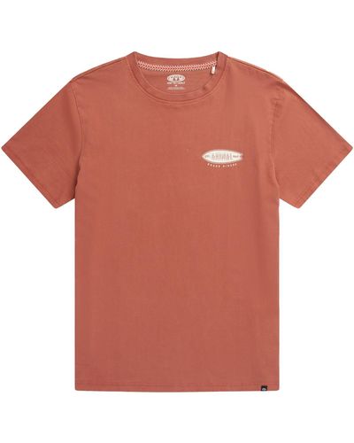 Animal T-shirt Chase - Orange