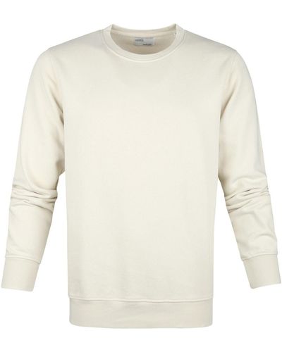 COLORFUL STANDARD Sweat-shirt Colourful Standard Pull Bio Ecru - Neutre