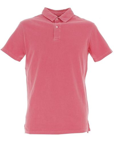Superdry Polo Studios jersey polo paradise pink - Rose