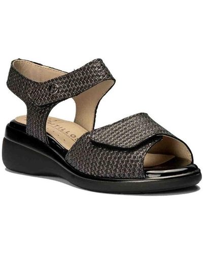 Pitillos Chaussures escarpins 5011 - Noir