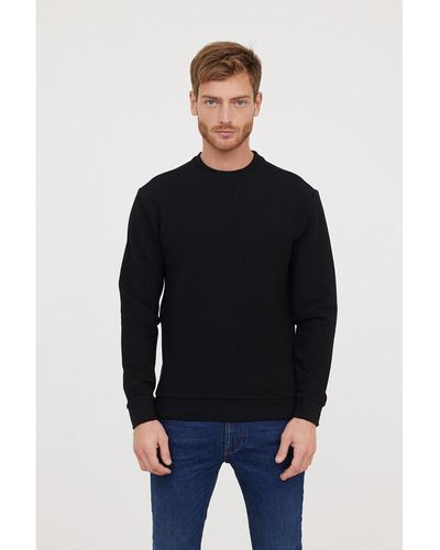 Lee Cooper Sweat-shirt Sweatshirt EVELO Noir