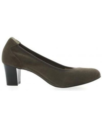 Brenda Zaro Chaussures escarpins Escarpins cuir velours - Marron