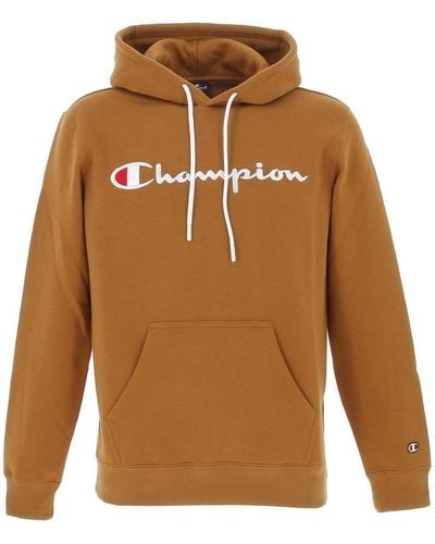 Champion Sweat-shirt Hooded sweatshirt - Marron