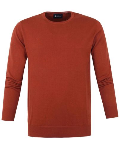 Suitable Sweat-shirt Respect Pull Oini Col Rond Rouille - Rouge
