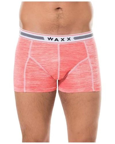 Waxx Boxers Boxer MISTY - Rose