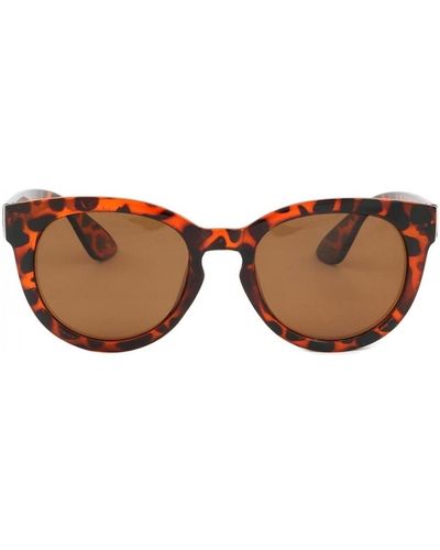 Eye Wear Lunettes de soleil Lunettes Mixte - Marron