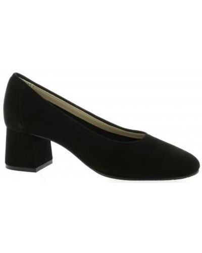 Brenda Zaro Chaussures escarpins Escarpins cuir velours - Noir