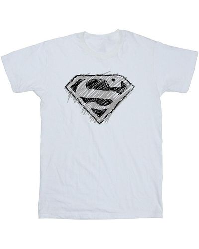 Dc Comics T-shirt Superman Logo Sketch - Blanc