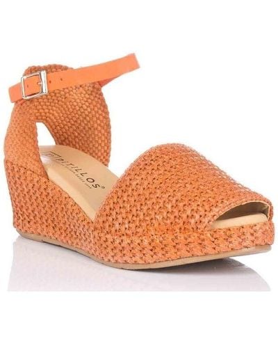 Pitillos Chaussures escarpins 5501 - Orange