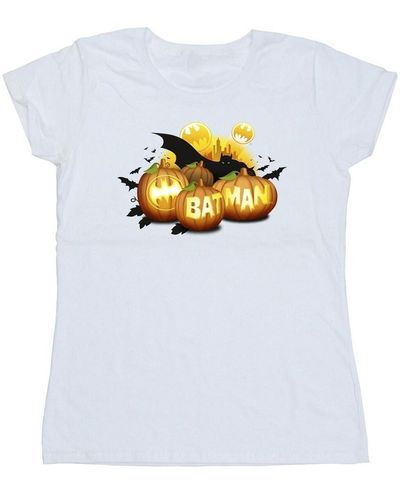 Dc Comics T-shirt Batman Pumpkins - Blanc