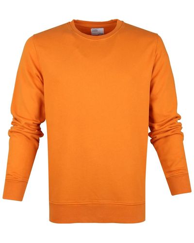 COLORFUL STANDARD Sweat-shirt Colourful Standard Pull Orange Bio