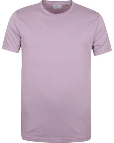 COLORFUL STANDARD T-shirt T-shirt Violet - Rouge