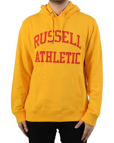 Russell Sweat-shirt à Capuche Iconic Tackle Twill Hoody - Métallisé
