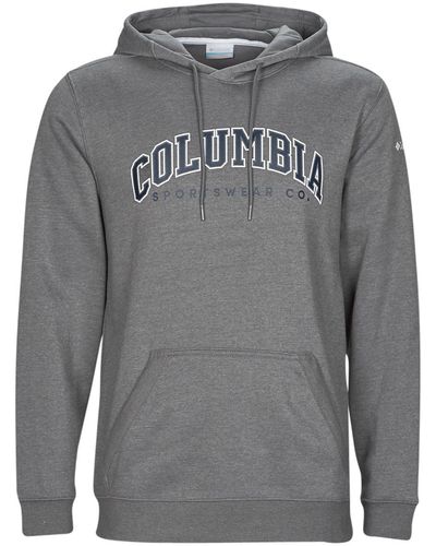 Columbia Sweat-shirt CSC BASIC LOGO II HOODIE - Gris
