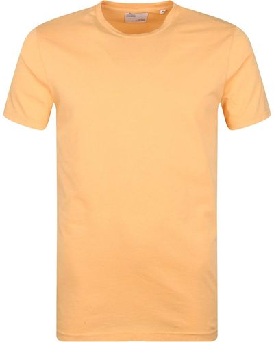 COLORFUL STANDARD T-shirt T-shirt Biologique Coloré Orange Clair