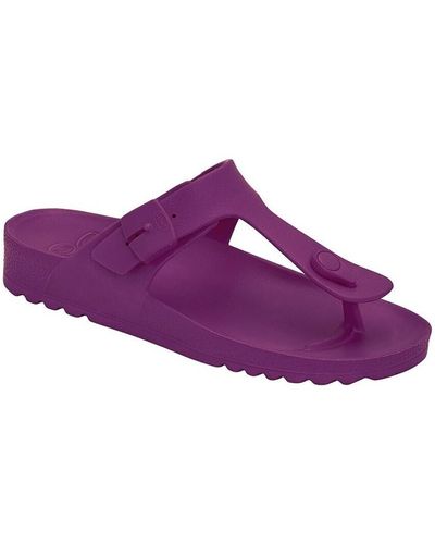 Scholl Sandales BASKETS BAHIA FLIP-FLOP - Violet