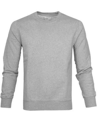 COLORFUL STANDARD Sweat-shirt Pull Gris Chiné