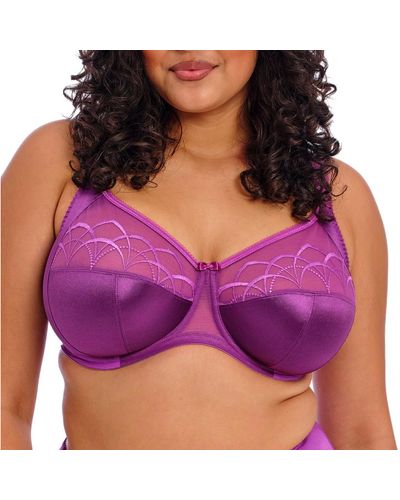 Elomi Emboitants Cate - Violet