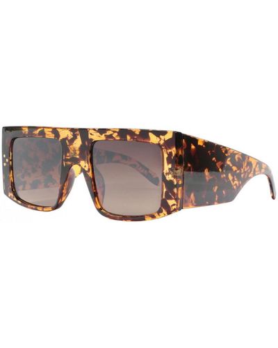 Eye Wear Lunettes de soleil Grosses - Marron