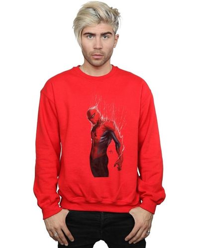 Marvel Sweat-shirt Spider-Man Web Wrap - Rouge