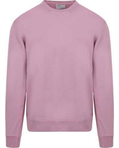 COLORFUL STANDARD Sweat-shirt Pull Violet