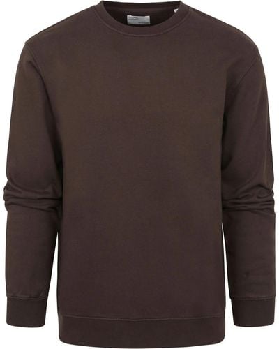 COLORFUL STANDARD Sweat-shirt Pull standard coloré brun café - Marron
