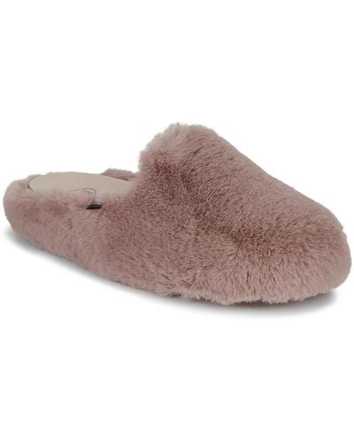 Scholl Chaussons MADDY - Marron