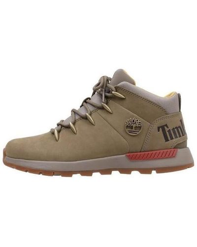 Baskets Marron Timberland pour homme | Lyst