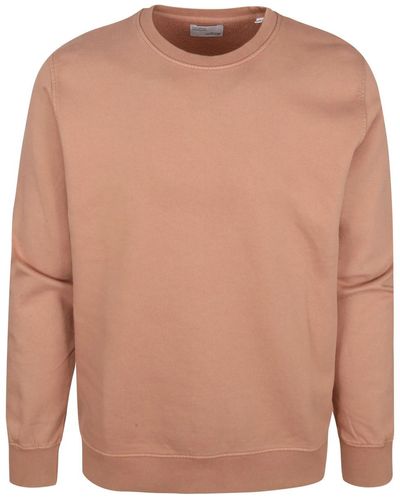 COLORFUL STANDARD Sweat-shirt Colourful Standard Pull Marron