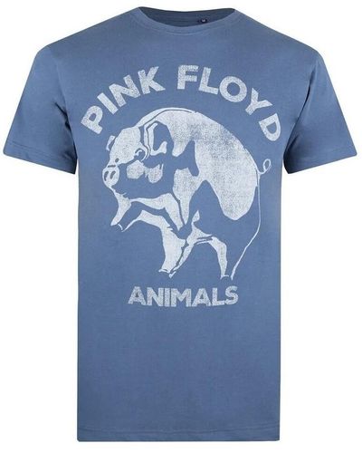 Pink Floyd T-shirt TV1067 - Bleu