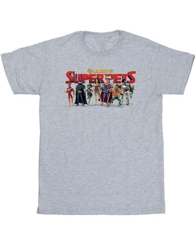 Dc Comics T-shirt DC League Of Super-Pets Group Logo - Gris