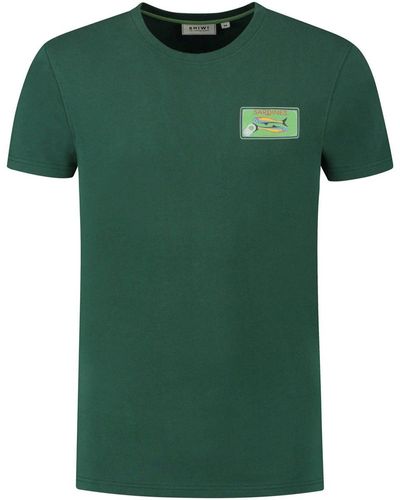 Shiwi T-shirt T-Shirt Sardines Cilantro Green - Vert
