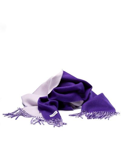 Burberry `Sketched Ekd` Embroidered Scarf - Purple