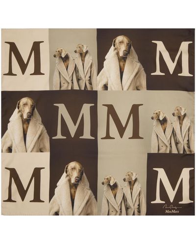 Max Mara Beige & Brown Printed Scarf - Natural