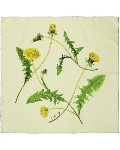 Burberry Foulard jaune en soie à images de fleur - Vert