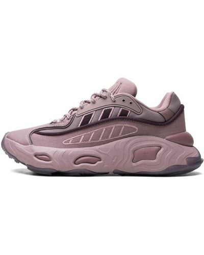 adidas Oznova "magic Mauve" Shoes - Purple