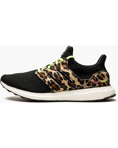 adidas Ultraboost Dna "animal Pack-leopard" Shoes - Black
