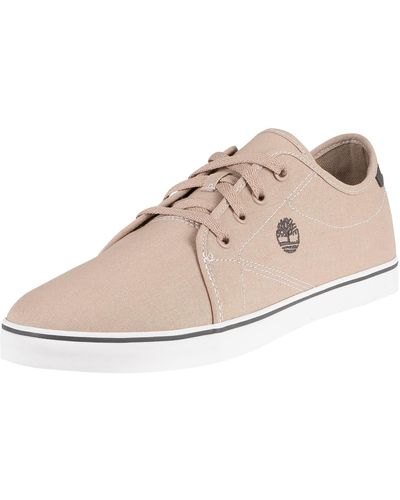 Timberland Skape Park Oxford Canvas Sneakers - Natural