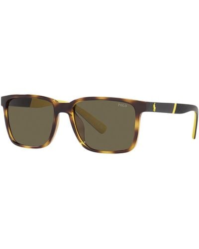 Polo Ralph Lauren Ph4189u Rectangle Sunglasses - Brown