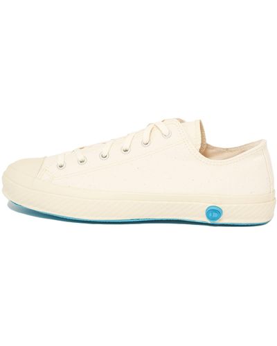 Shoes Like Pottery Off White 01jp Canvas Trainers